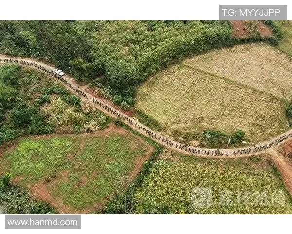 武汉极限运动队的节奏打法深度分析与战术解读